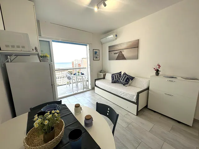Monolocale luminoso con divano letto e portafinestra con vista