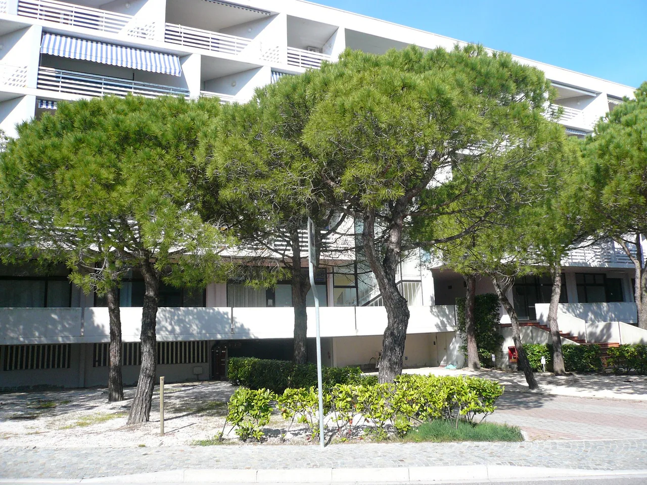 Residence Giove immerso nei pini marittimi