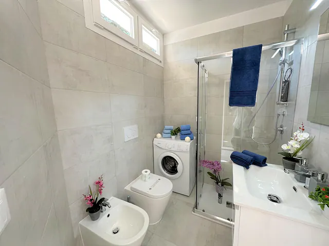 Bagno ristrutturato con box doccia e lavatrice