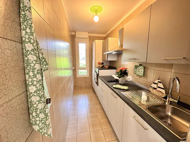 Cucina lineare con piano cottura e lavello