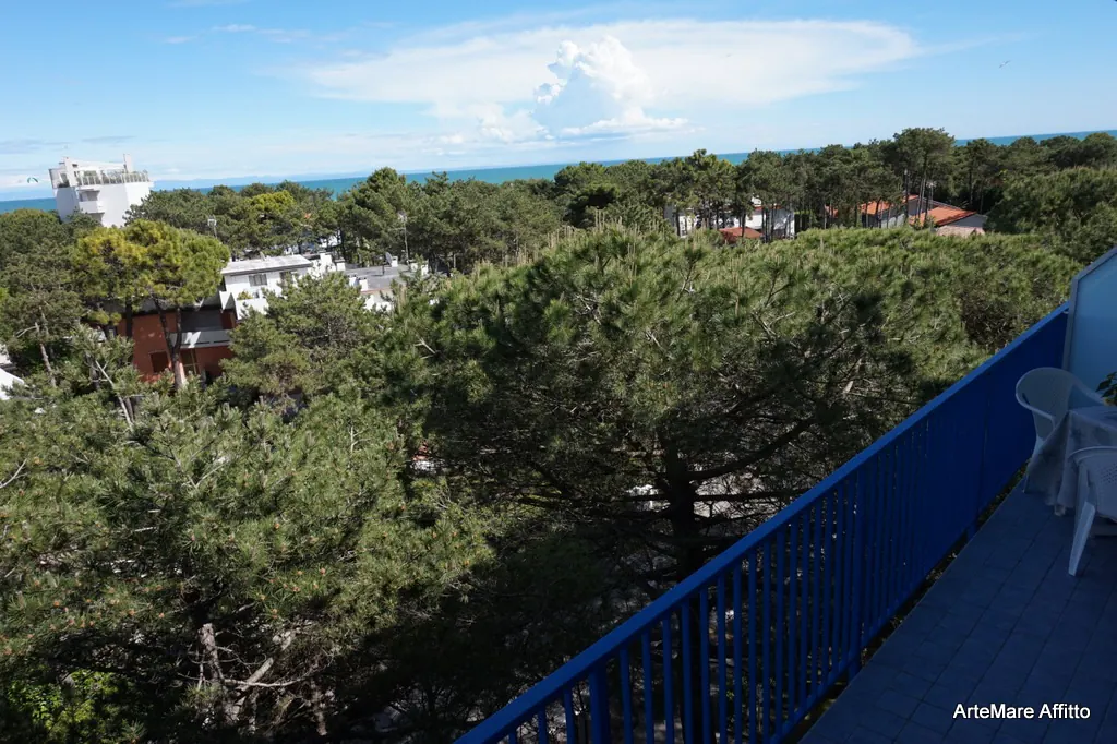 Vista sulla pineta e sul mare all'orizzonte dal terrazzo