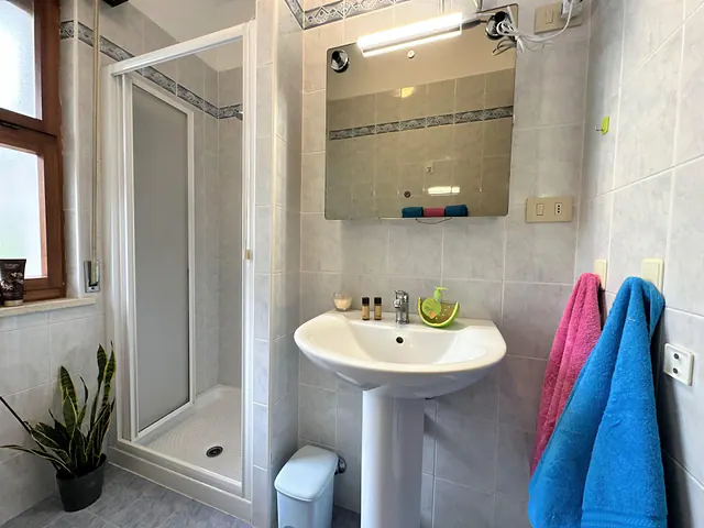 Bagno con box doccia, lavabo e finestra