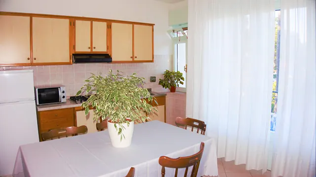 Cucina con tavolo da pranzo, pianta e portafinestra luminosa