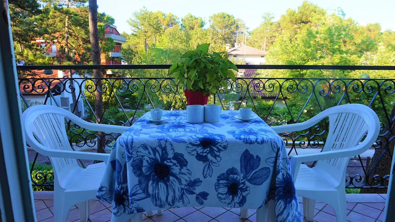 Terrazzo con tavolo apparecchiato e vista sui pini
