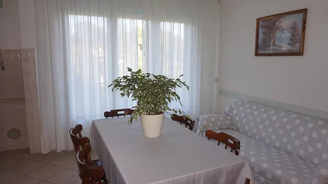 Tavolo da pranzo con pianta e tende bianche