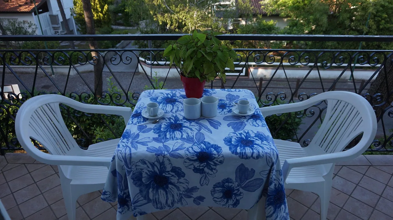 Terrazzo con tavolo apparecchiato e vista sui pini