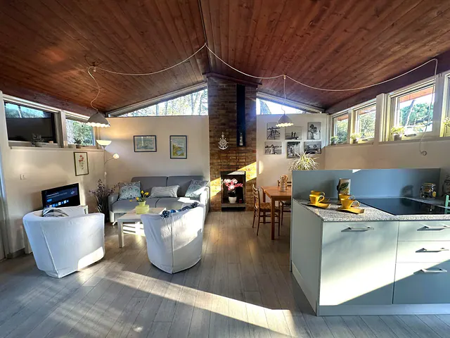 Open space con soggiorno, zona pranzo e cucina sotto il soffitto in legno