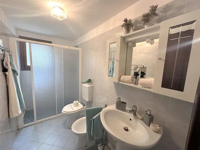 Bagno con box doccia e mobile a specchio