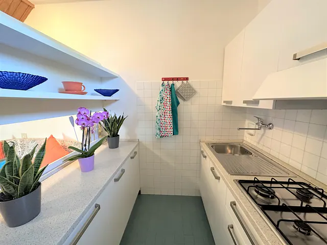 Cucina lineare con piano cottura a gas e orchidee
